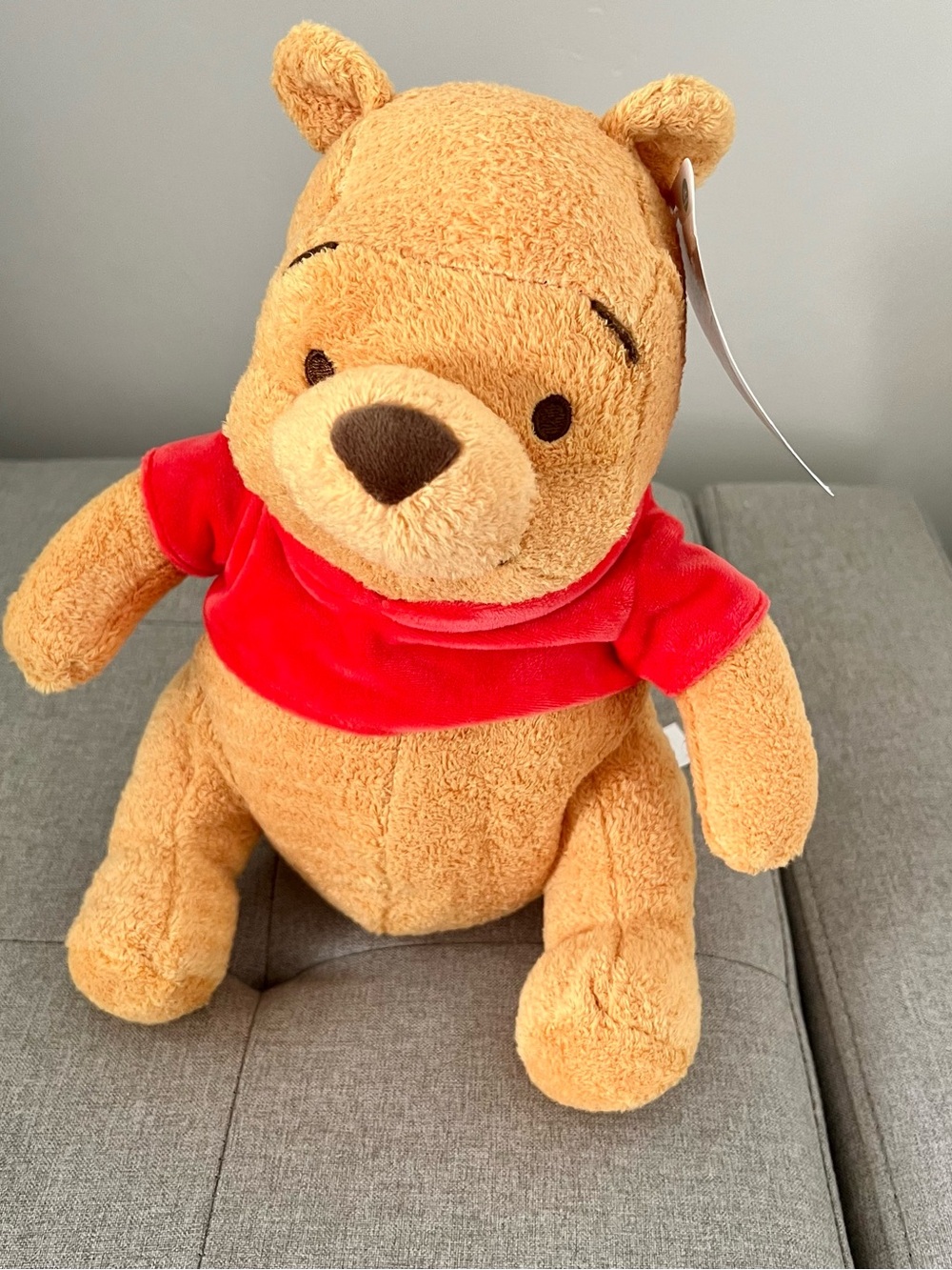 NWT Disney Baby Winnie The Pooh 10” Plush